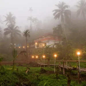Mountain Manor Vythiri
