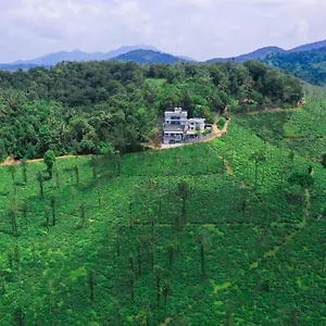 Leaves Wayanad Vythiri